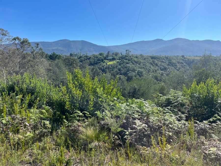 0 Bedroom Property for Sale in The Crags Western Cape